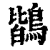 鶛(印刷字体·清·康熙字典)